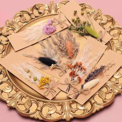 کیسه Opp Pampas علف خشک طبیعی Potpourri 43*15cm