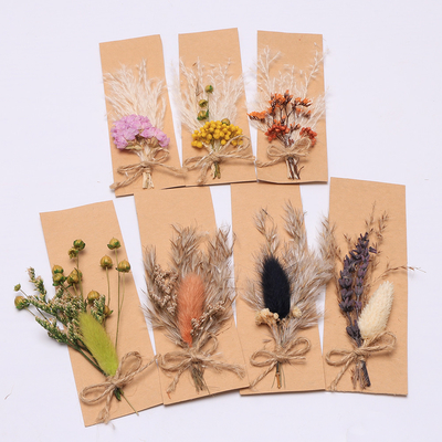 کیسه Opp Pampas علف خشک طبیعی Potpourri 43*15cm