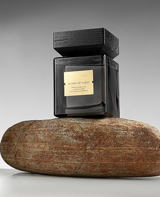 گلس بطری استیک عطر لوکس خانه عطر پخش کننده نی 500 میلی لیتری با جعبه بسته بندی