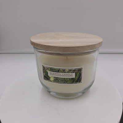 شمع دافع مگس OEM معطر سیترونلا در فضای باز برای حیاط خلوت